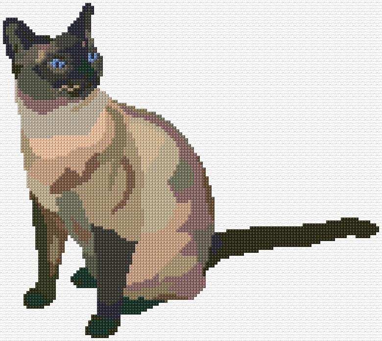Siamese Cat