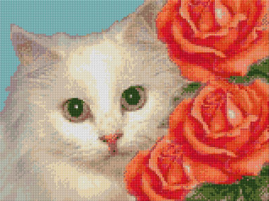 Kitten with Roses