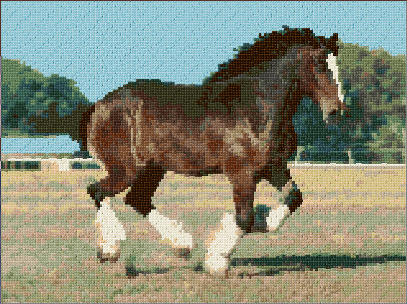 Clydesdale Horse