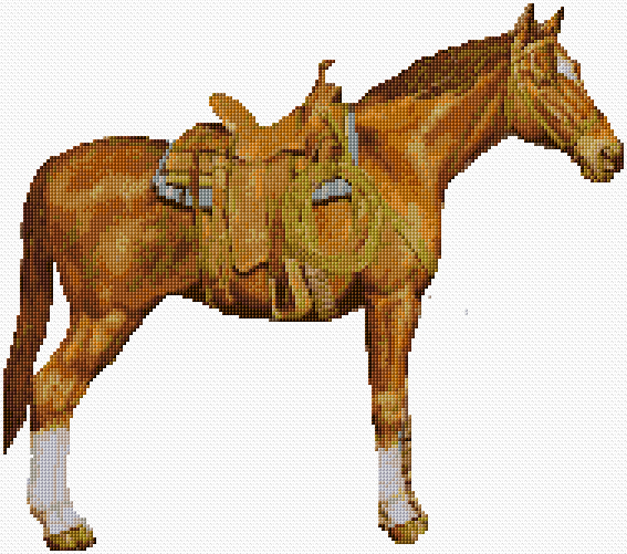 Horse