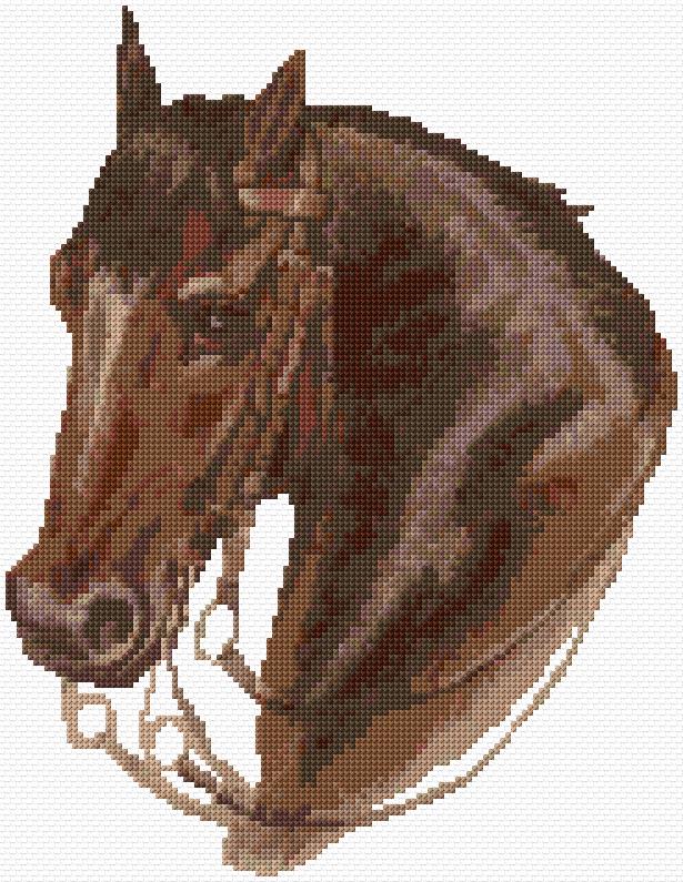 Horse