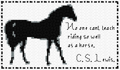 Horse Saying 1