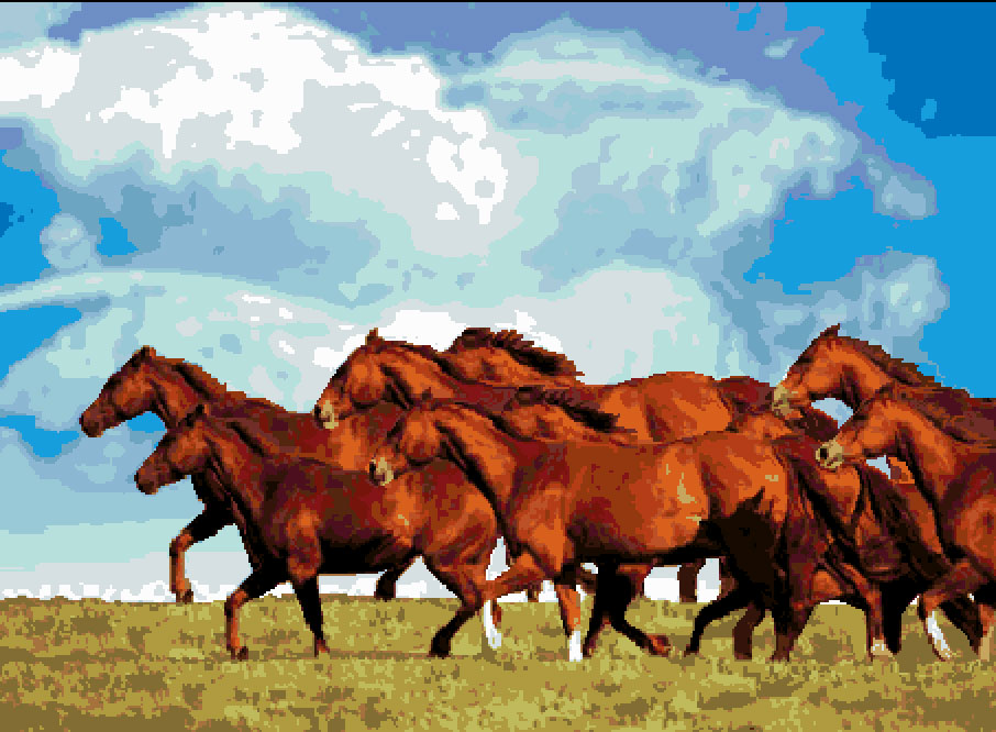 Herd of Horses