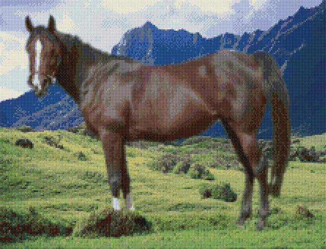 Horse in the Mountains