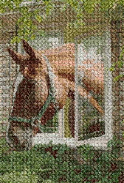 Horse in the Window - Kit