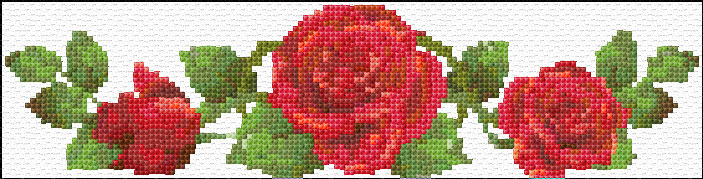 Roses Border
