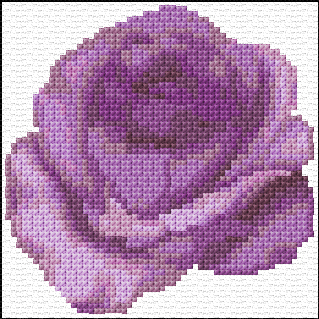Purple Rose