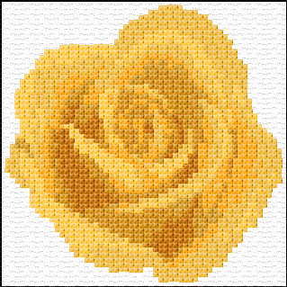 Yellow Rose
