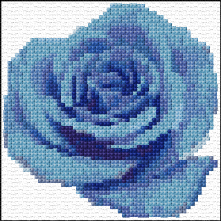 Blue Rose
