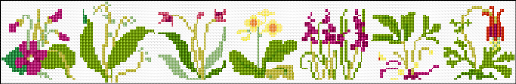 Floral Border