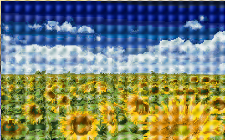 Sunflowers