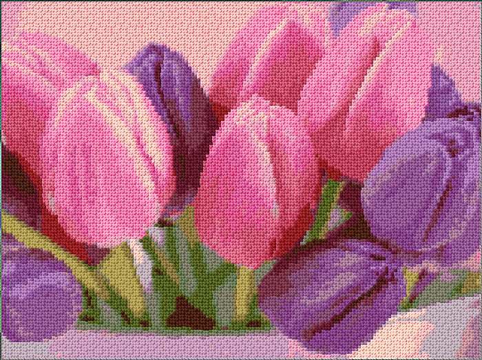 Tulips