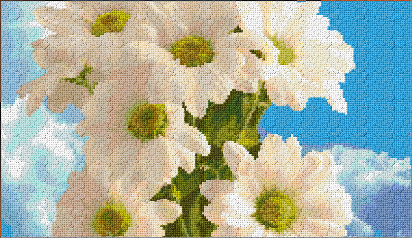 White Chrysanths