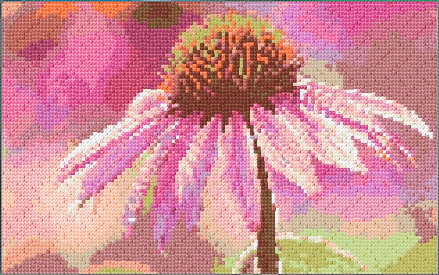 Echinacea