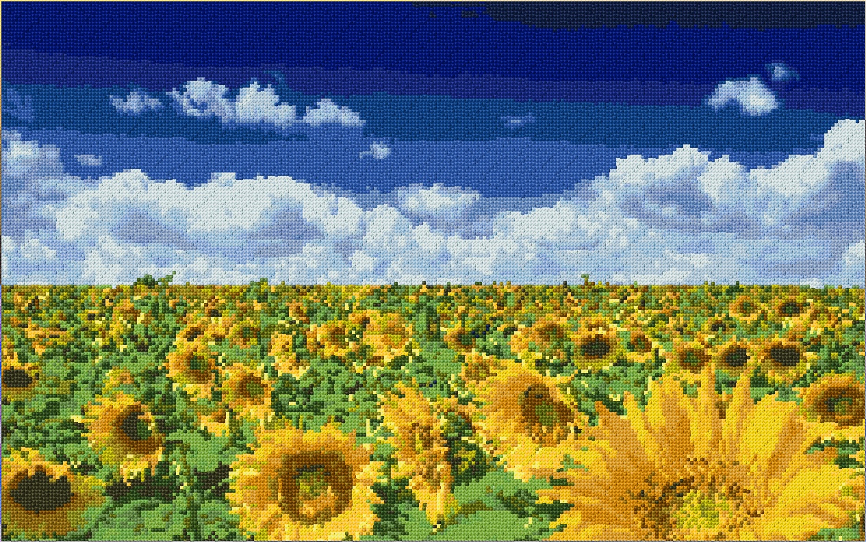 Sunflowers