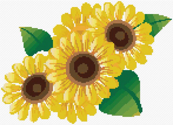 Sunflowers