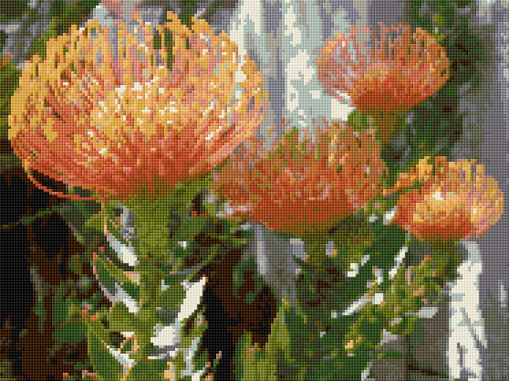 Protea