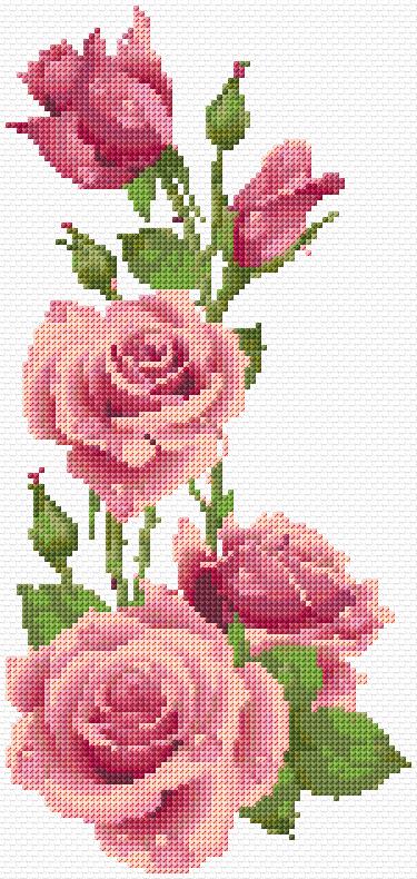 Roses