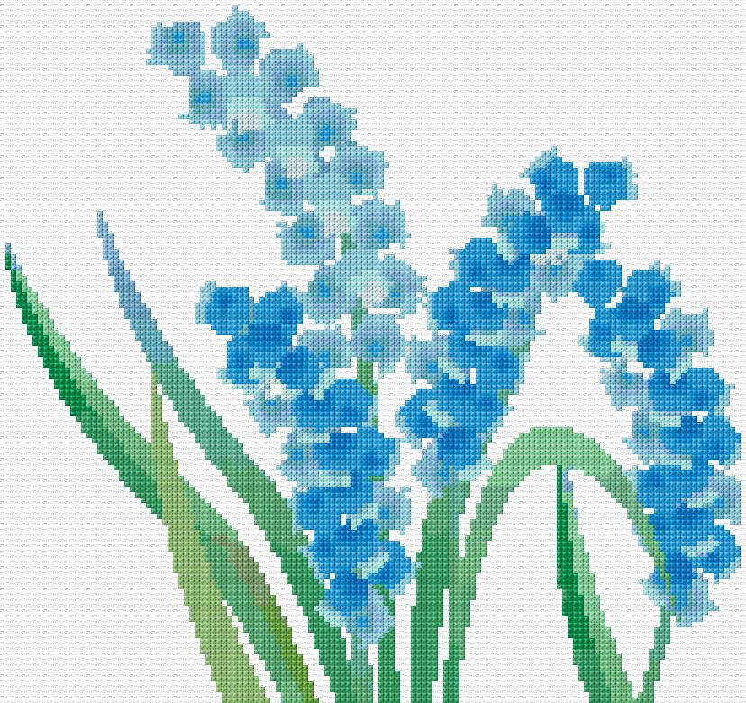 Blue Flowers