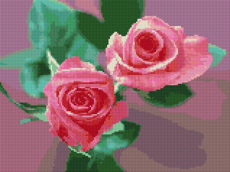 Roses