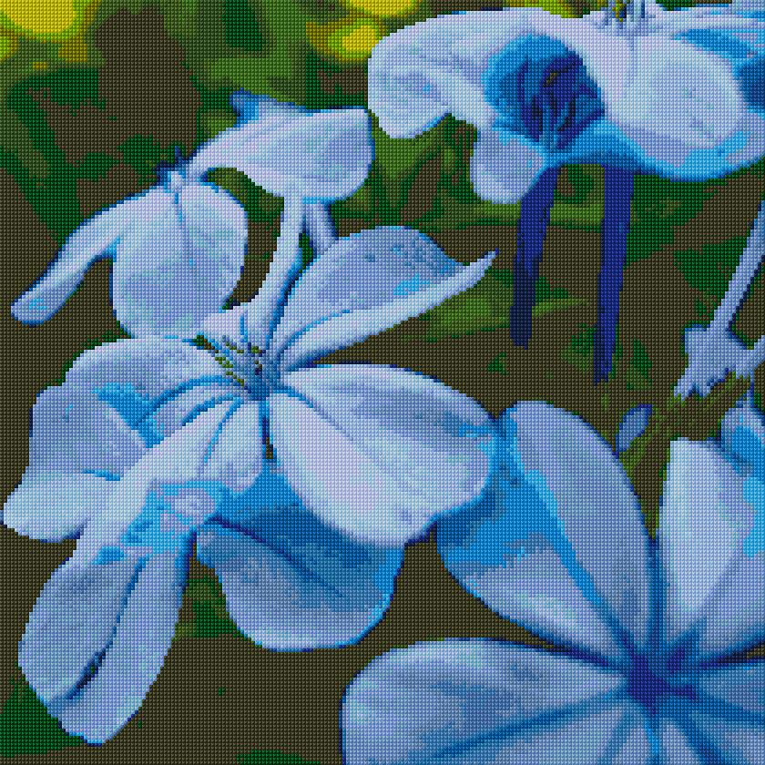 Blue Flowers