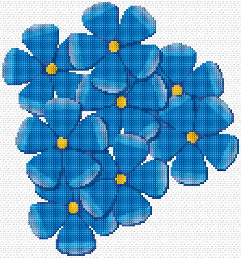 Forget-me-not