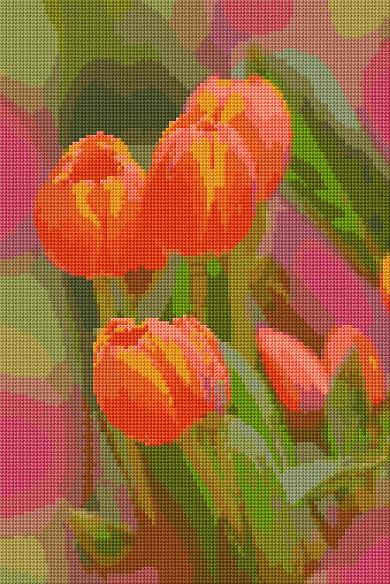 Tulips