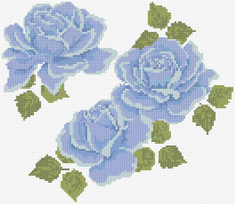 Blue Roses