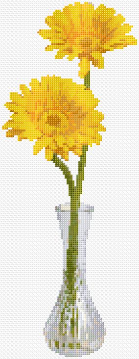 Daisies in a Vase