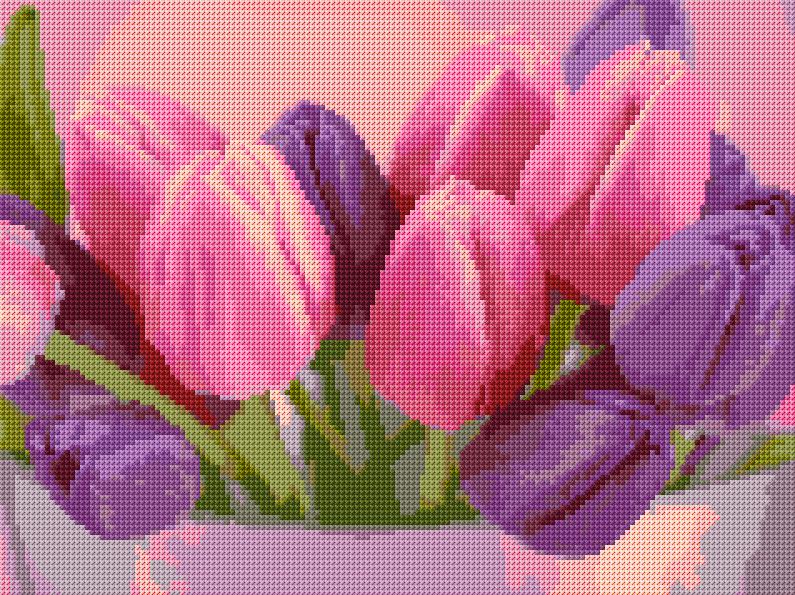 Tulips