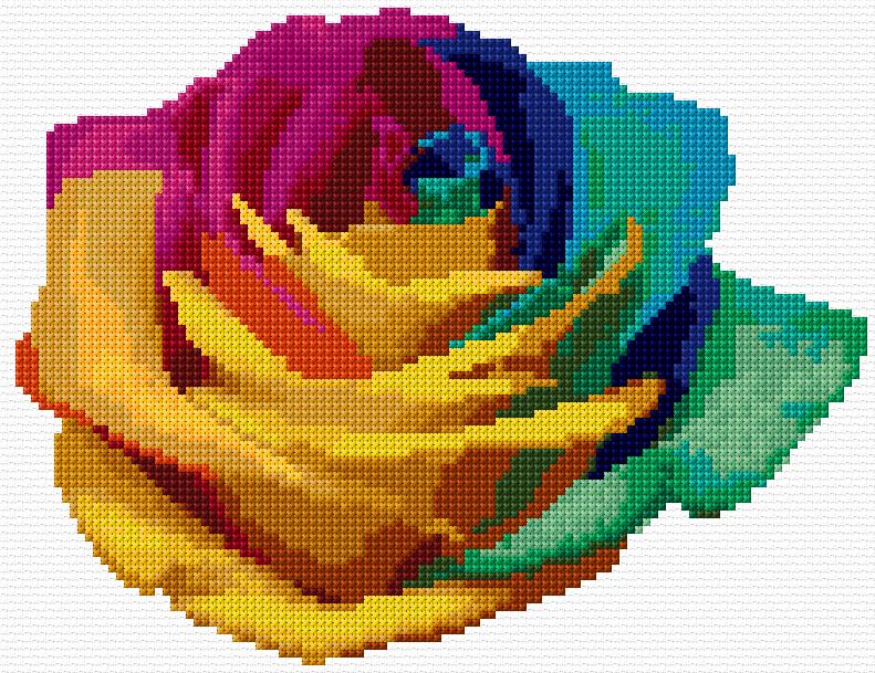 Colorful Rose