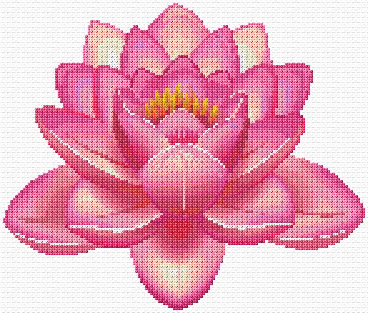 Lotus