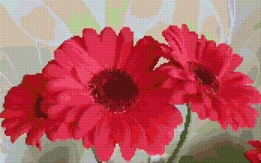 Red Daisy