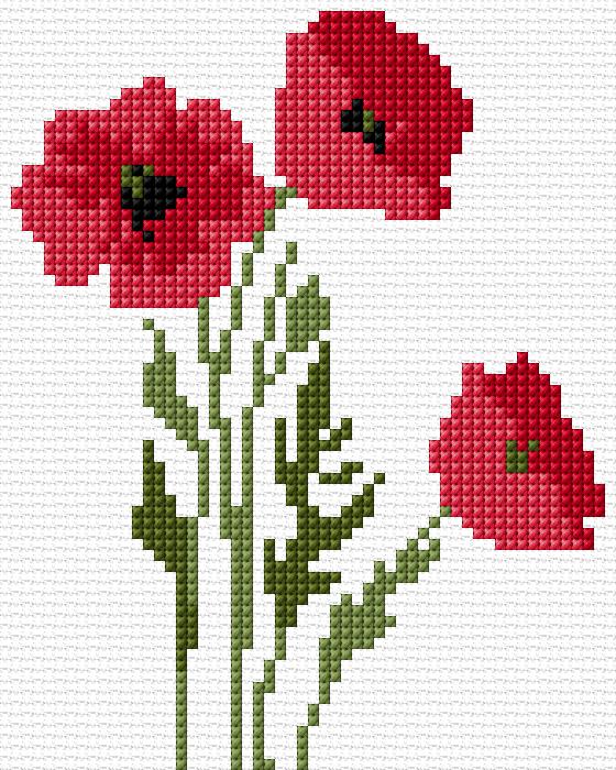 Poppies