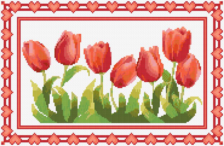Tulips
