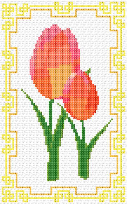 Tulips