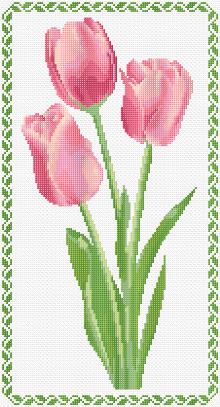 Tulips