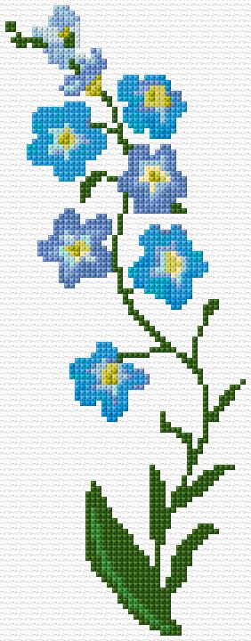 Forget-me-Not Flowers