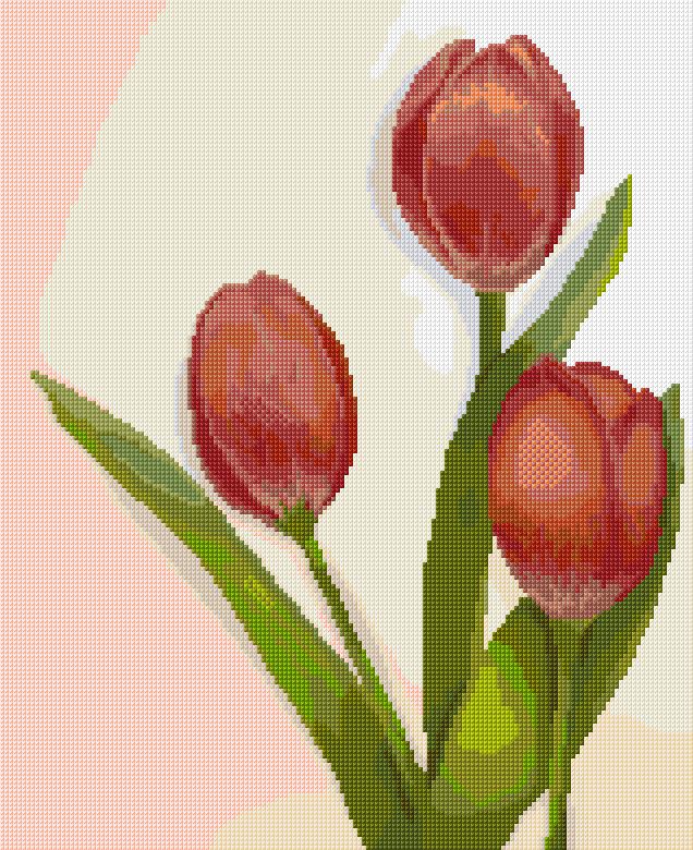 Tulips
