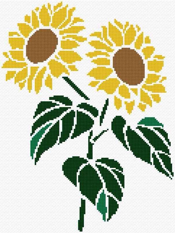 Sunflowers