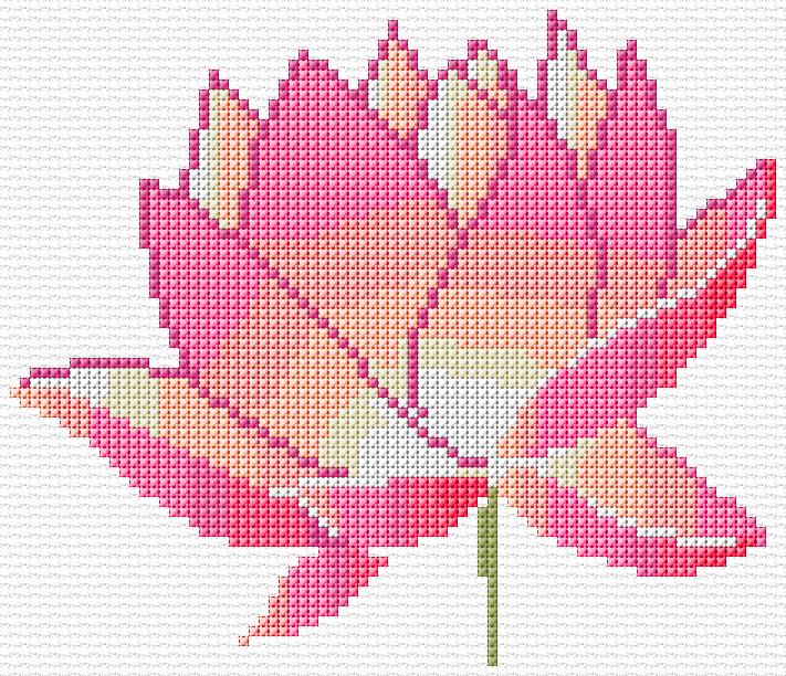 Lotus