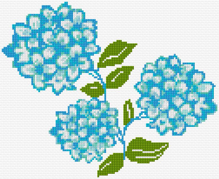Hydrangea