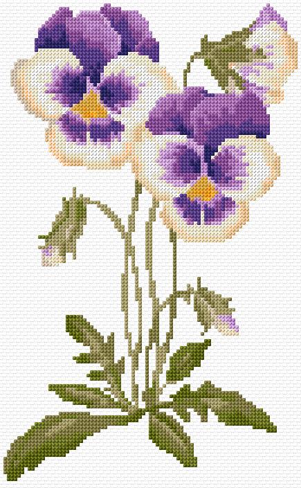 Pansies