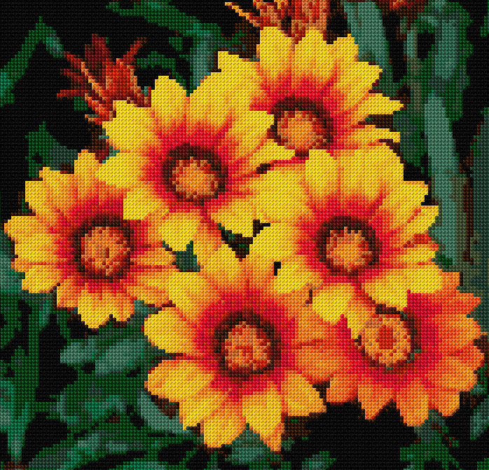 Gloriosa Daisies