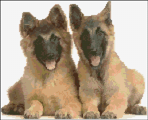 German Shepherd