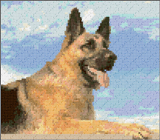 German Shepherd