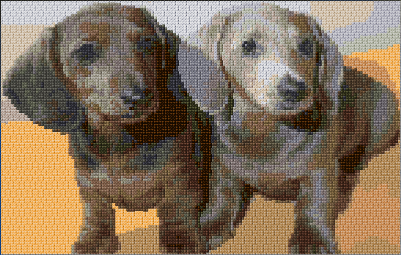 Dachshunds