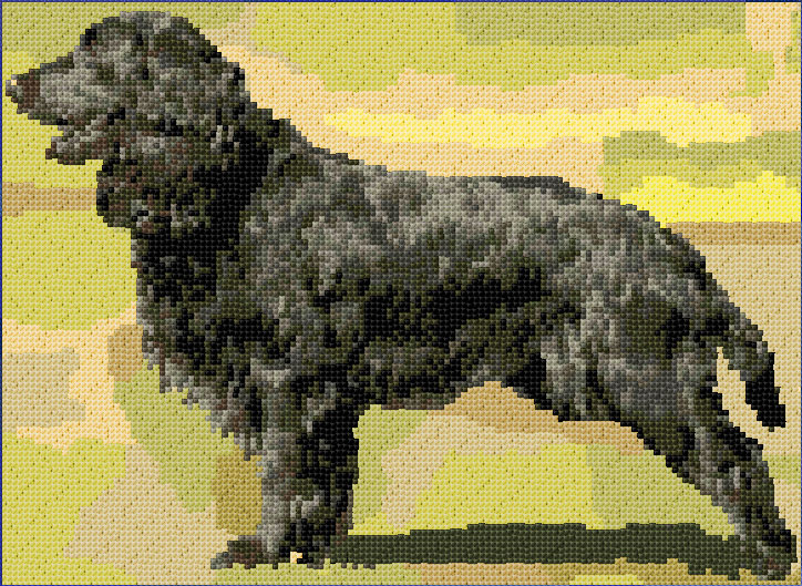 Black Spaniel