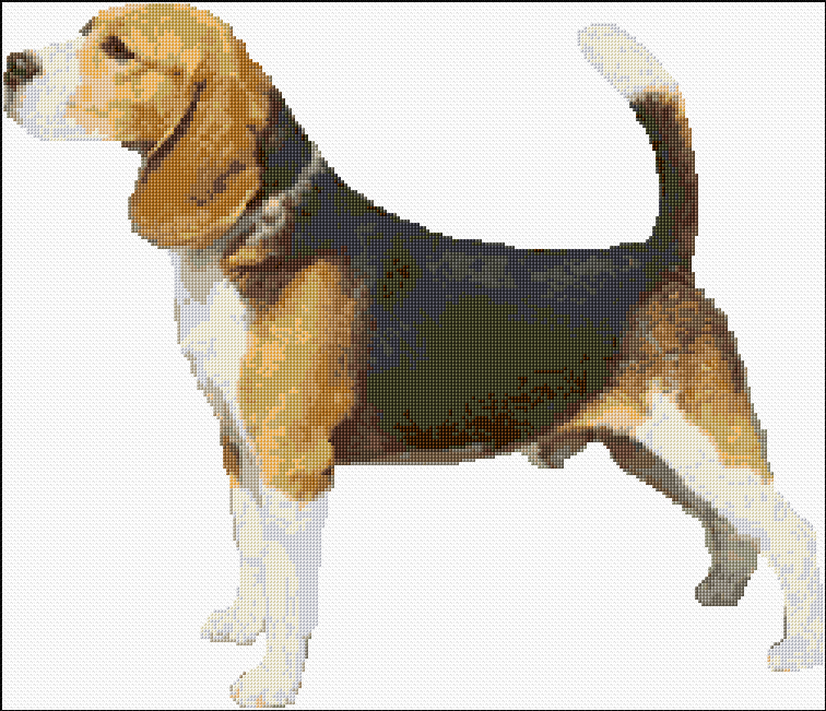 Beagle free cross-stitch pattern