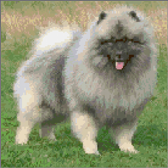 Keeshond